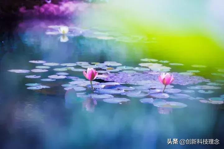 听歌也能治病！47首珍贵音乐，听过身心舒畅