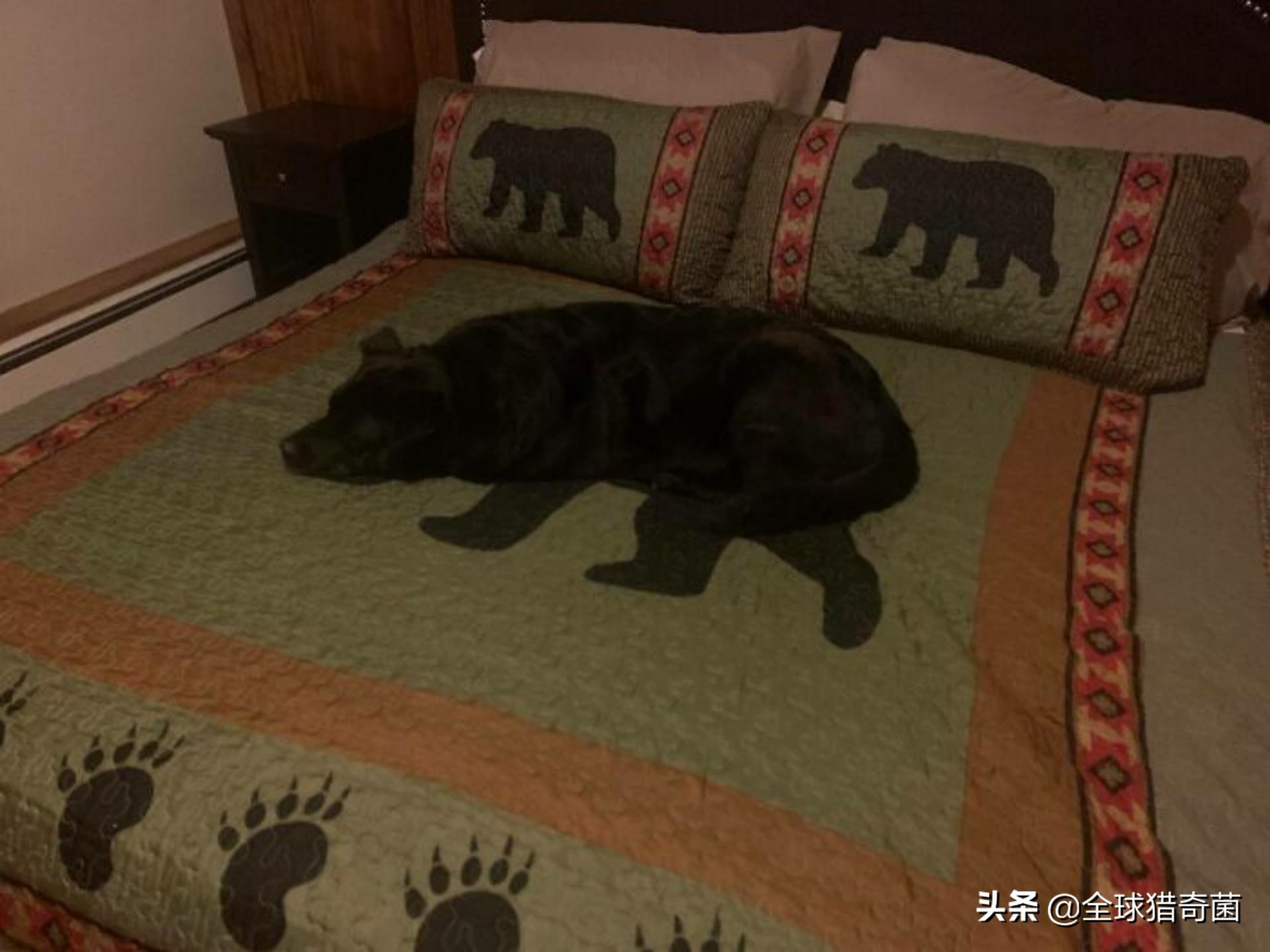 44张难以置信的图片,45张令人难以置信的图