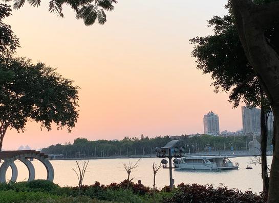 鸽群飞翔视频大全,鸽群飞翔视频