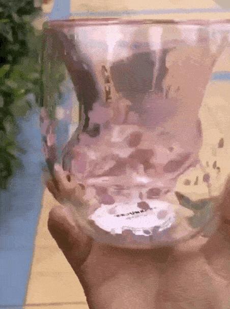 一只猫爪杯,让平静的江湖又掀起了一阵腥风血雨