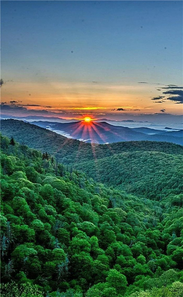 缓解眼睛疲劳动态图壁纸,好看的手机壁纸护眼高清图文