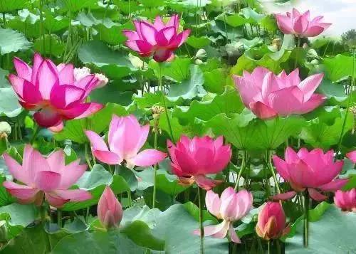 网络套路深投资需谨慎,网络投资遇骗局背后操作竟是这样