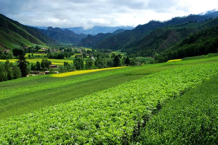 茶卡到大柴旦翡翠湖,茶卡怎么去大柴旦翡翠湖