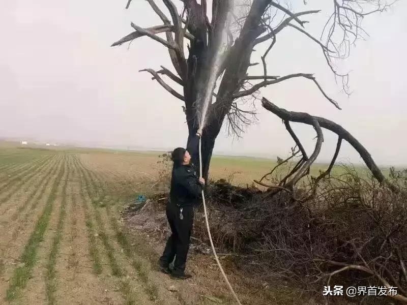 鐣岄鐑х焊绁,涓婂潫鐑х焊娉ㄦ剰妫灄闃茬伀