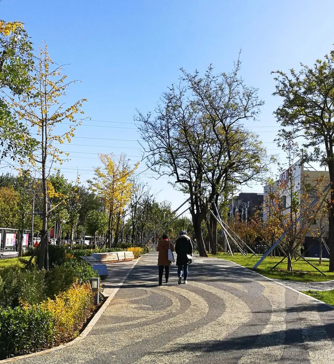 存量时代八个小时,存量时代的城市发展策略