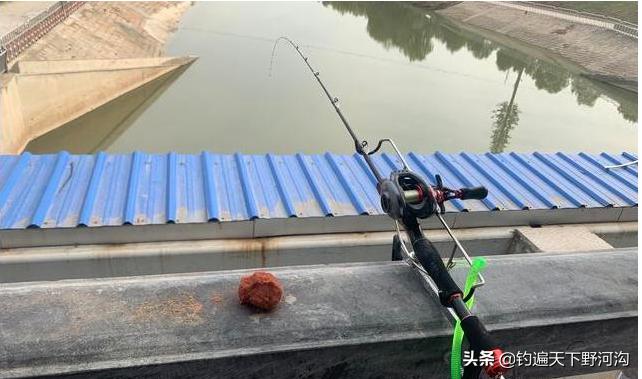 楸肩闀跨煭涓庨奔婕傚悆閾呴噺濡備綍鎼厤,楸肩闀跨煭璺熸诞婕傚悆閾呰鎬庝箞鎺屾彙