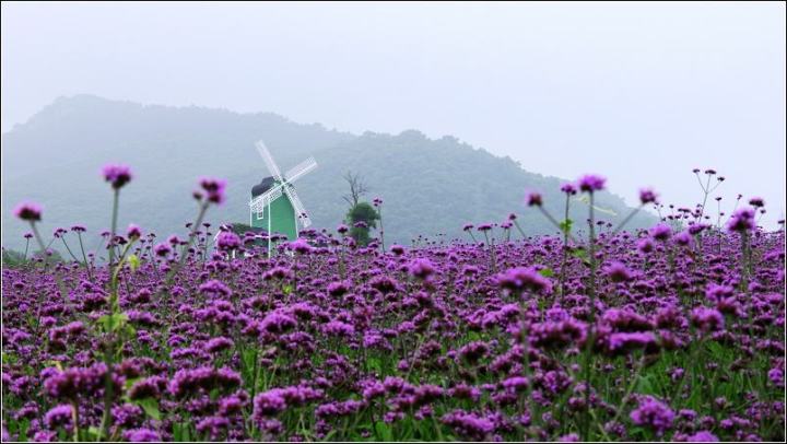 大连出发穷游去哪里比较好,大连穷游必去的十个地方推荐
