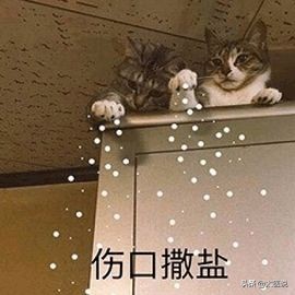 狗狗打了狂犬疫苗被咬伤了怎么办,被狗狗咬了如何打狂犬疫苗