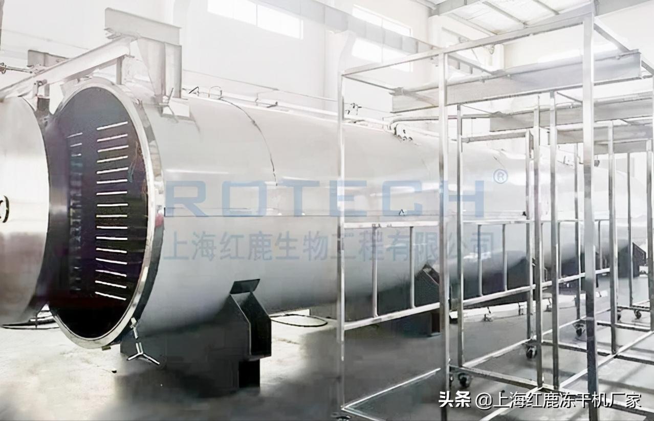 榴莲干冻干真实好评,冻干榴莲干是酥脆的吗