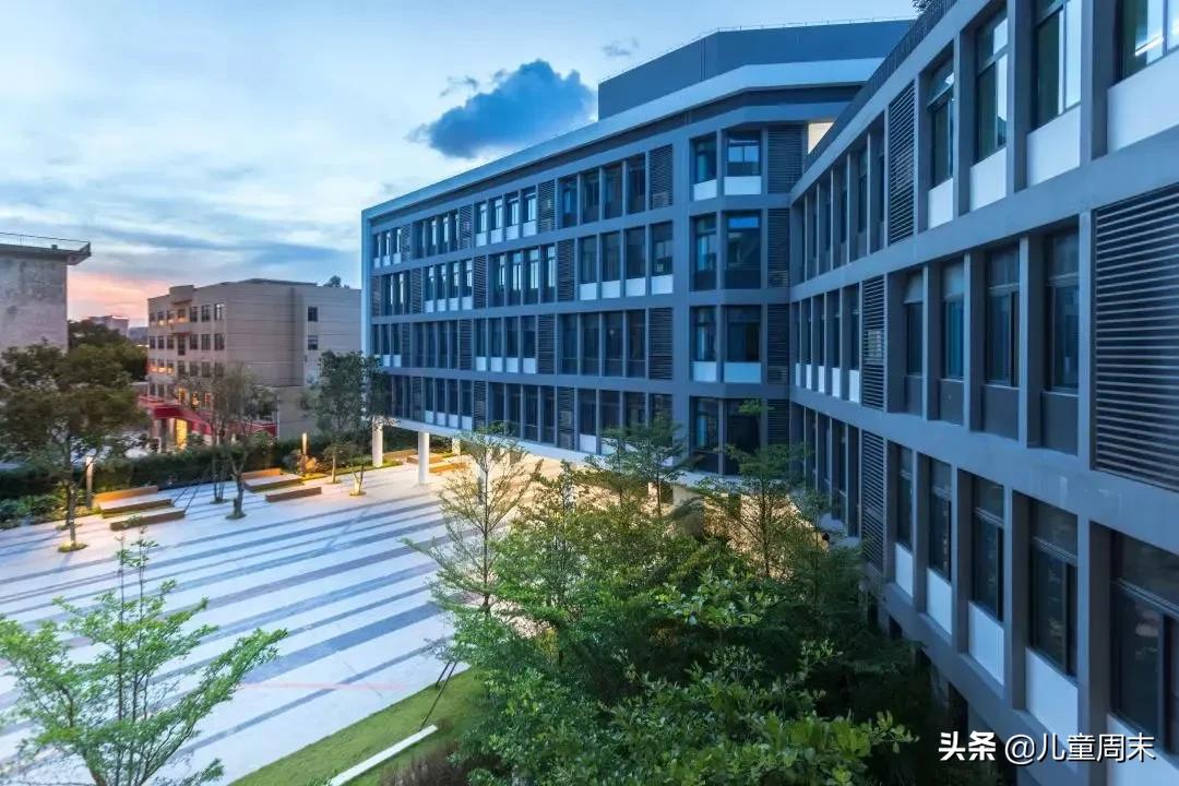 深圳南山外国语小学排名,深圳南山麒麟小学最新排名