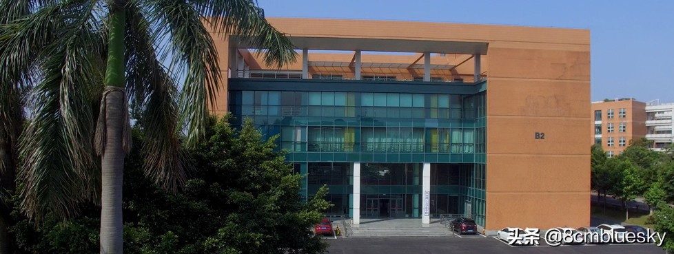 学医不代表什么都懂,学医不从医好吗