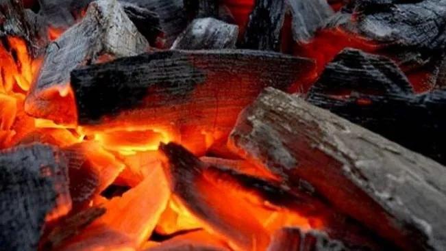 机制炭跟果木炭哪个温度高,机制炭烧烤炭哪种好