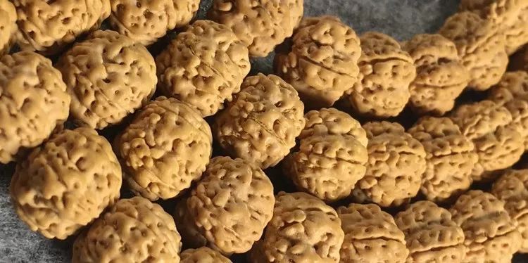 小金刚菩提子各种纹路图片,小金刚菩提的纹路有哪些