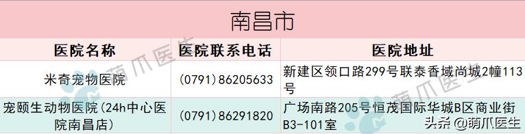 宠物医院必看,不坑的宠物医院推荐