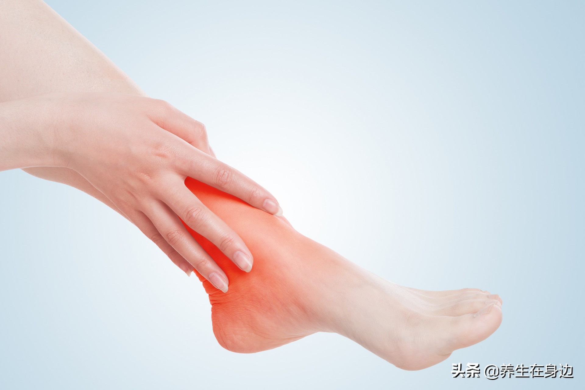 吃什么食材能养胃养肝润肺,清明时节养生必吃的食物