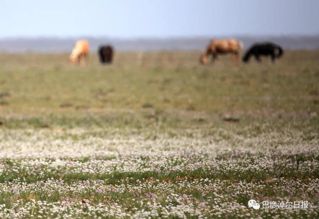 巴彦淖尔五一去处,巴彦淖尔市端午小长假适合去哪玩