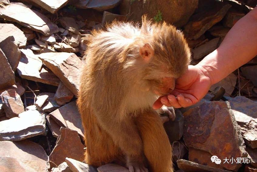 北京清明节遛娃好去处,北京适合遛娃的博物馆