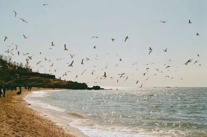 大连回到20年前,大连回到了故乡烟台