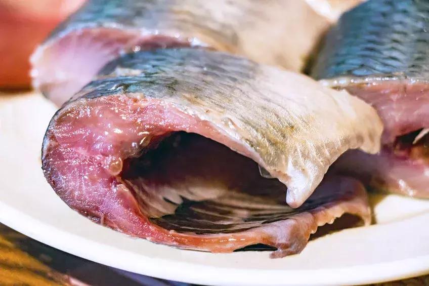 好多鱼怎么吃才正确,带鱼怎么做不腥又好吃又简单