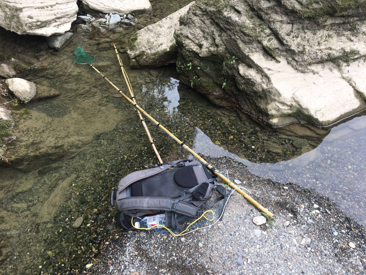 钓鱼遇到虾的技巧,钓鱼碰上渔网怎么办