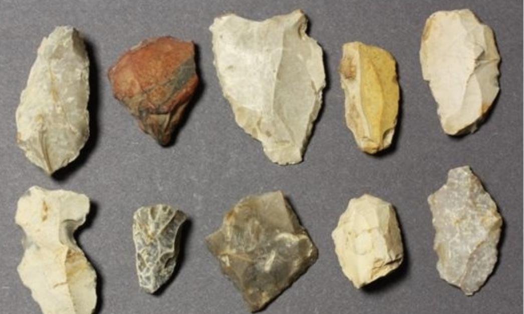 人类排泄需要用纸巾清理屁股，为什么动物却不需要？