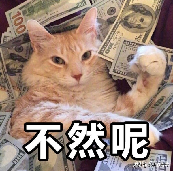 美团配送员运营套路,进美团外卖配送员的正规流程