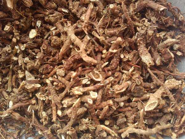 鸡有瘟病吃什么药,养鸡发烧用什么药