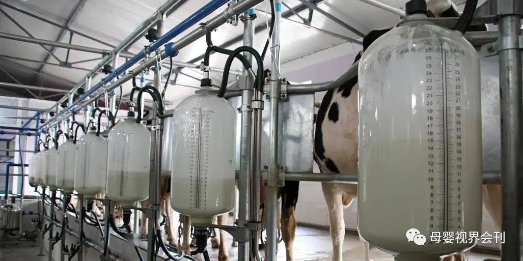 囤奶粉!脱脂乳粉供应价格涨至7年最高!单罐奶粉上涨10%-15%