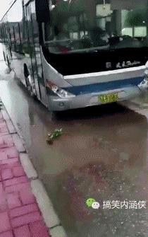 搞笑动图gif女司机,搞笑动图gif图片哪里下载