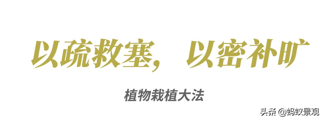 陈从周的园林作品有哪些,陈从周中国园林风格