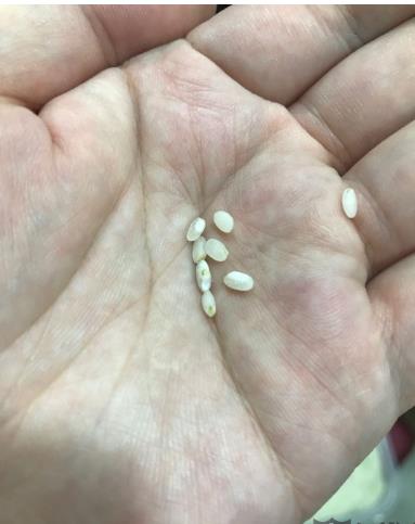 天猫超市发霉了怎么投诉,天猫超市卖家拒绝退货怎么办