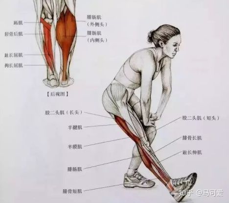 萝卜腿瘦小腿最快方法,一招告别小粗腿