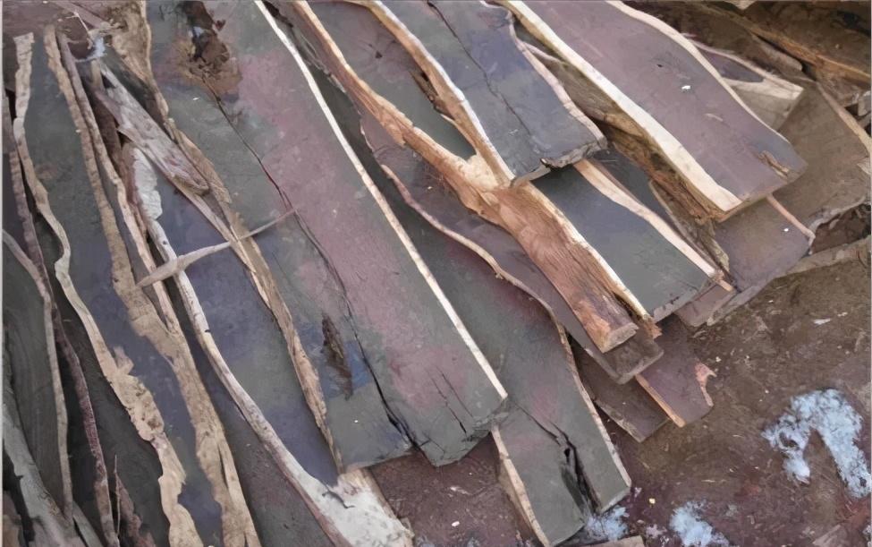 檀木知识,红木知识