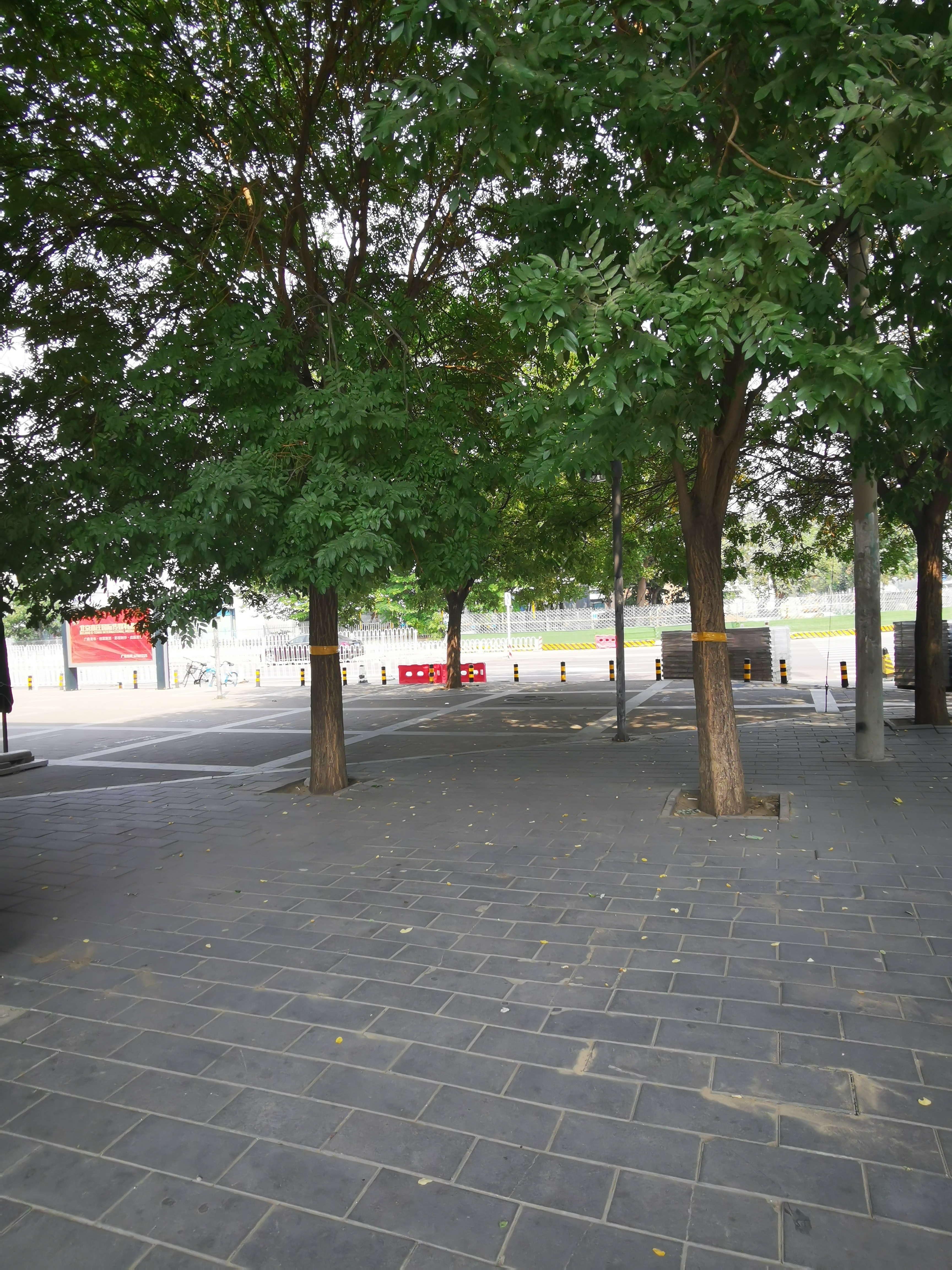 如何使民不为盗?要爱民利民,还要"使民无知无欲",对吗?