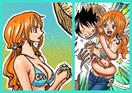 海贼王大熊衣服,海贼王狂热行动的衣服