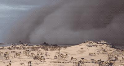 一群机械狗的球技展示，未来科技