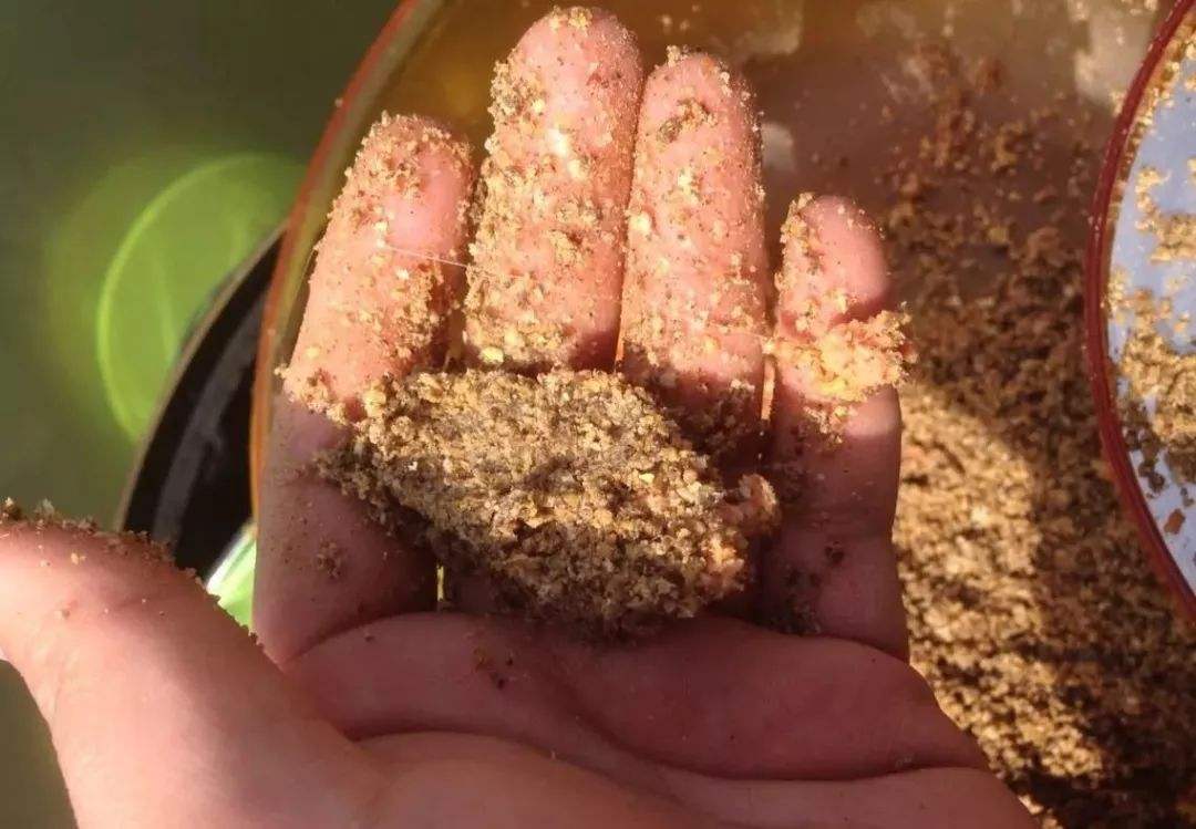 冬季饵料这样开鱼获可以翻倍,夏季降温饵料味型选择