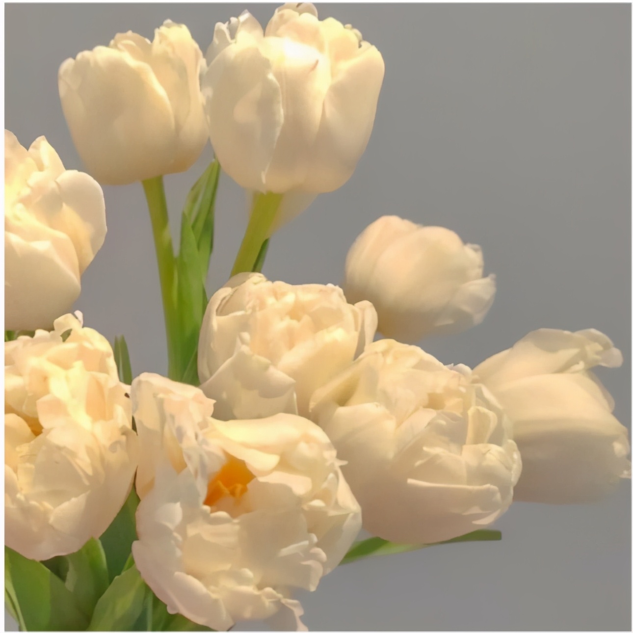 背景图片唯美仙气高清,朋友圈背景图唯美