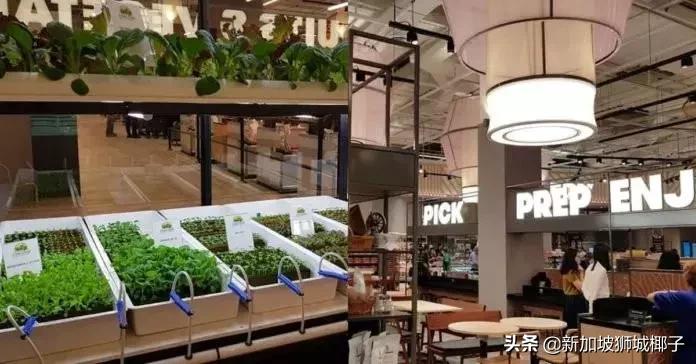 新加坡超市卖的一种糖,新加坡奇葩的东西