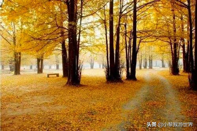 苏州11月份旅游攻略必去景点,七月苏州旅游必去十大景点有哪些