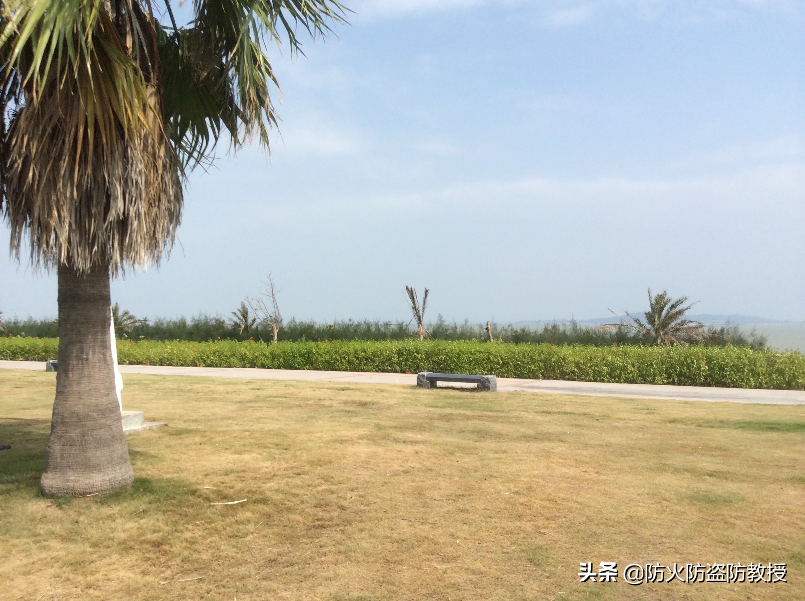 带你去厦门看海好不好,厦门观音山游玩攻略