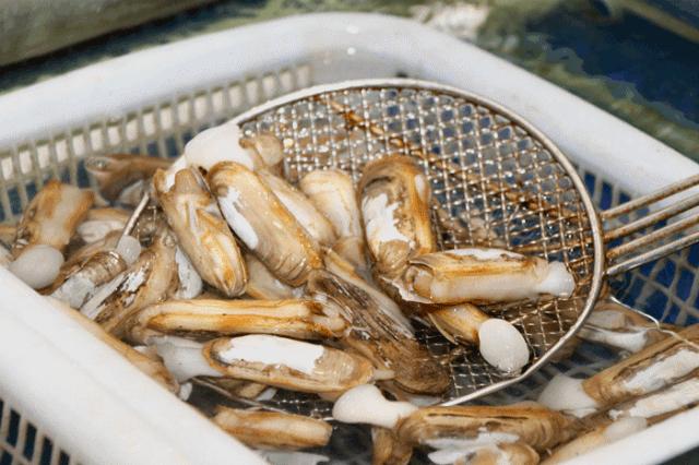 这座被央视挖掘的江南小城，比乌镇古朴，比苏杭好吃