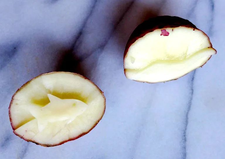 超级干货书单,超级干货视频识字