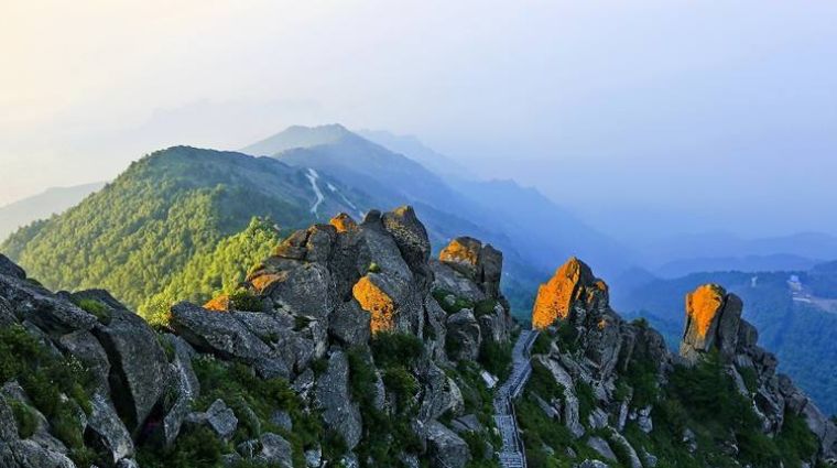 花香弥漫，云海林涛，这个小众景点真的美到让人窒息