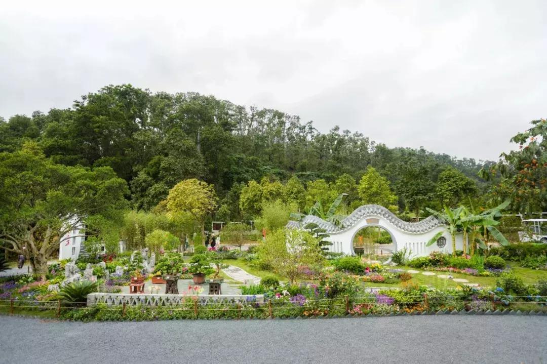 未来10天预警，深圳最最最最火的地方在这里，美女都赶来打卡