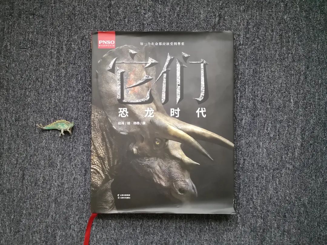 适合孩子看的恐龙科普书,适合5岁孩子看的恐龙科普书