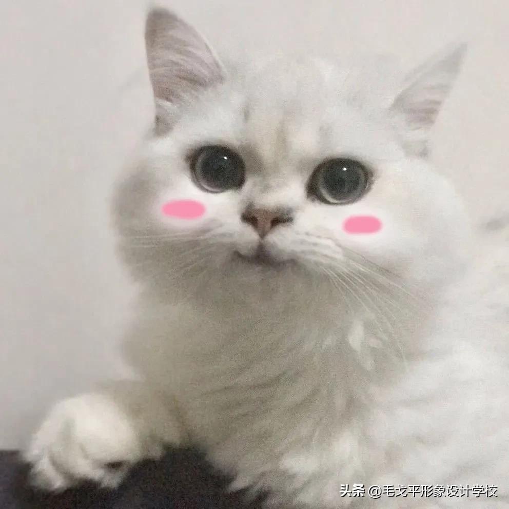 脸大变美神器,不同脸型的化妆技巧全在这