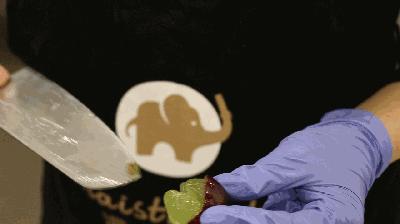 暹香泰茶和素匠泰茶,暹香泰茶好不好