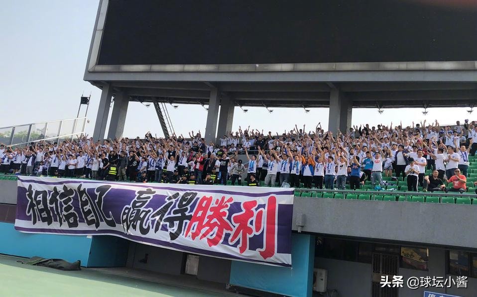 泰达更名,泰达官宣引援