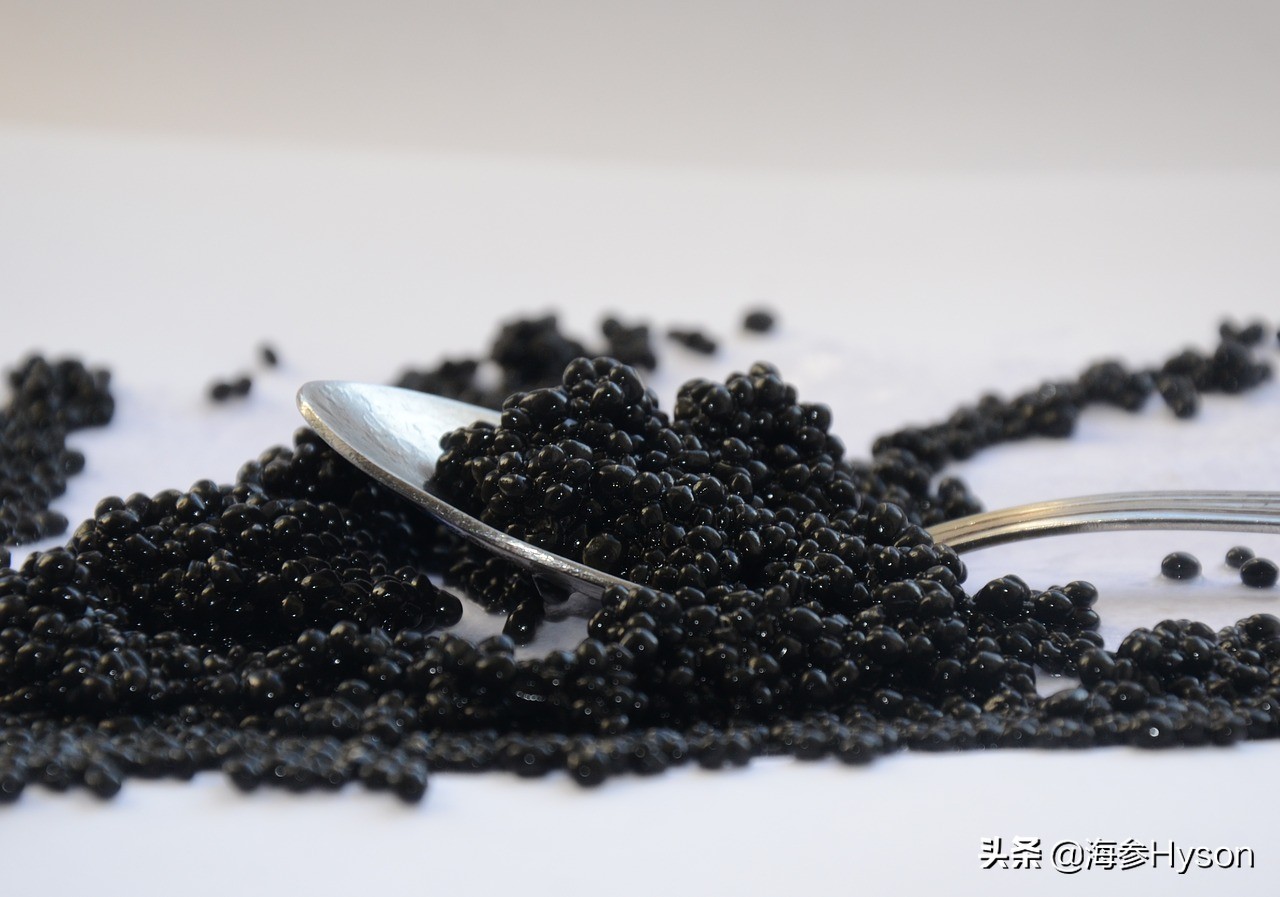 恐龙大灭绝的幸存者是什么恐龙,世界上的恐龙和鲨鱼有没有灭绝